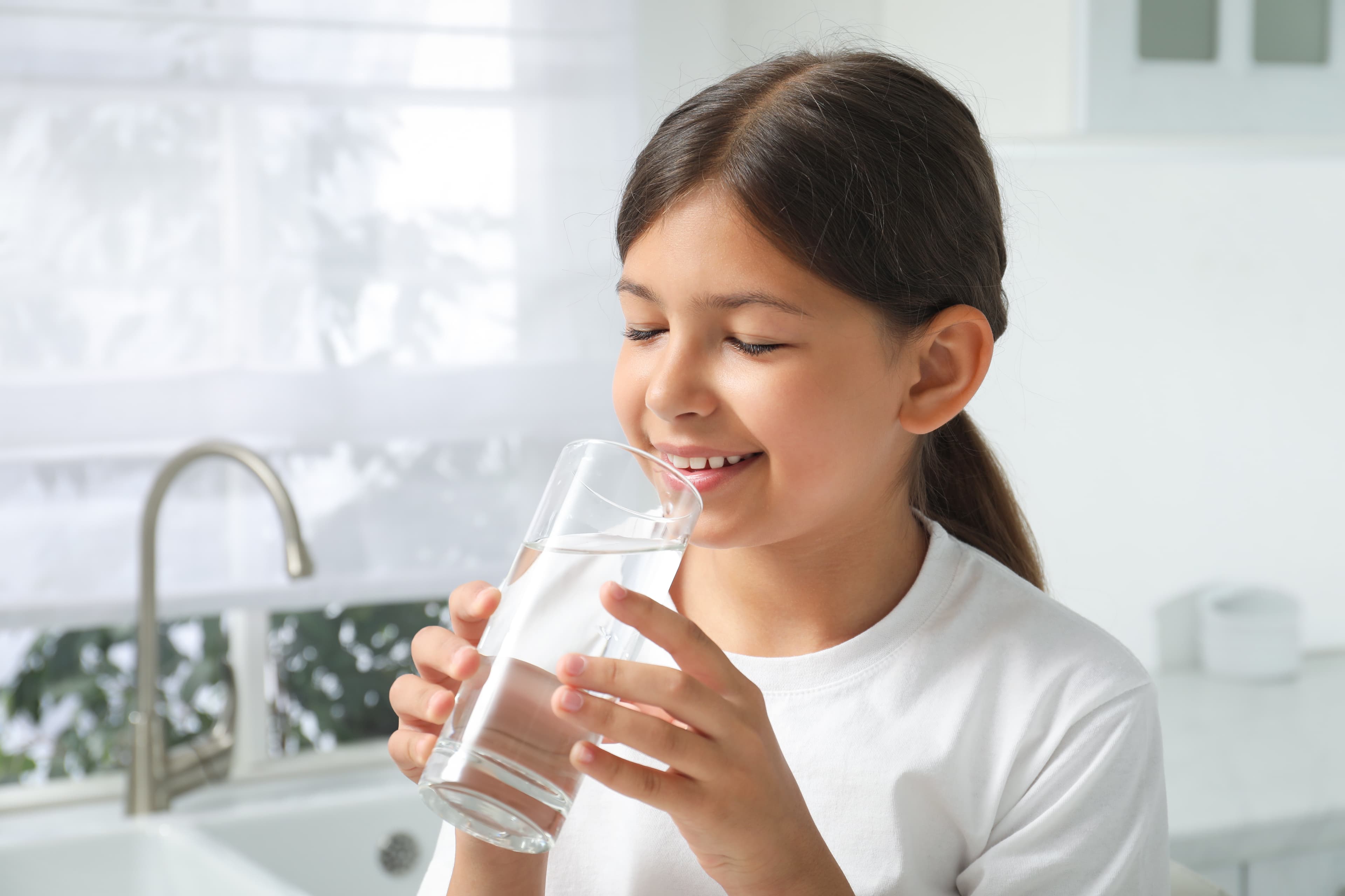 Kitchen Water Filtration detail